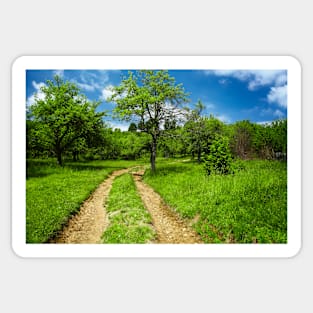 Rural road through meadow Sticker